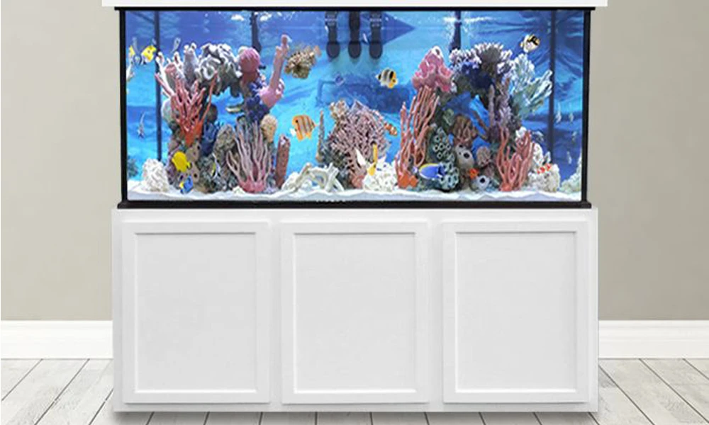 Fish Tank